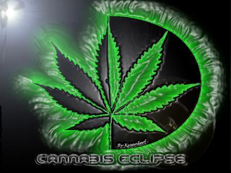 CANNABIS