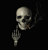 THE FUCK !!!